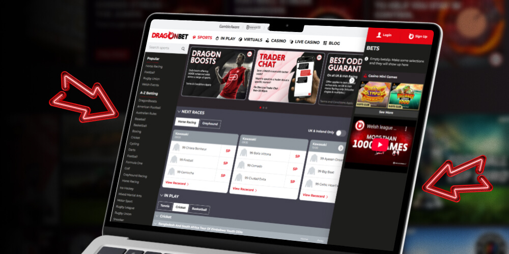 access the website