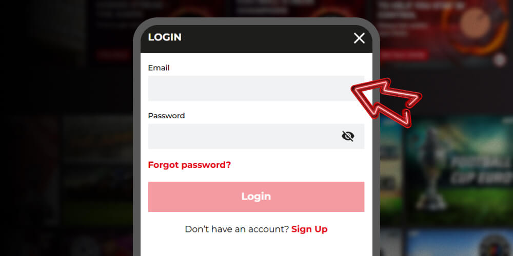 enter your email address
